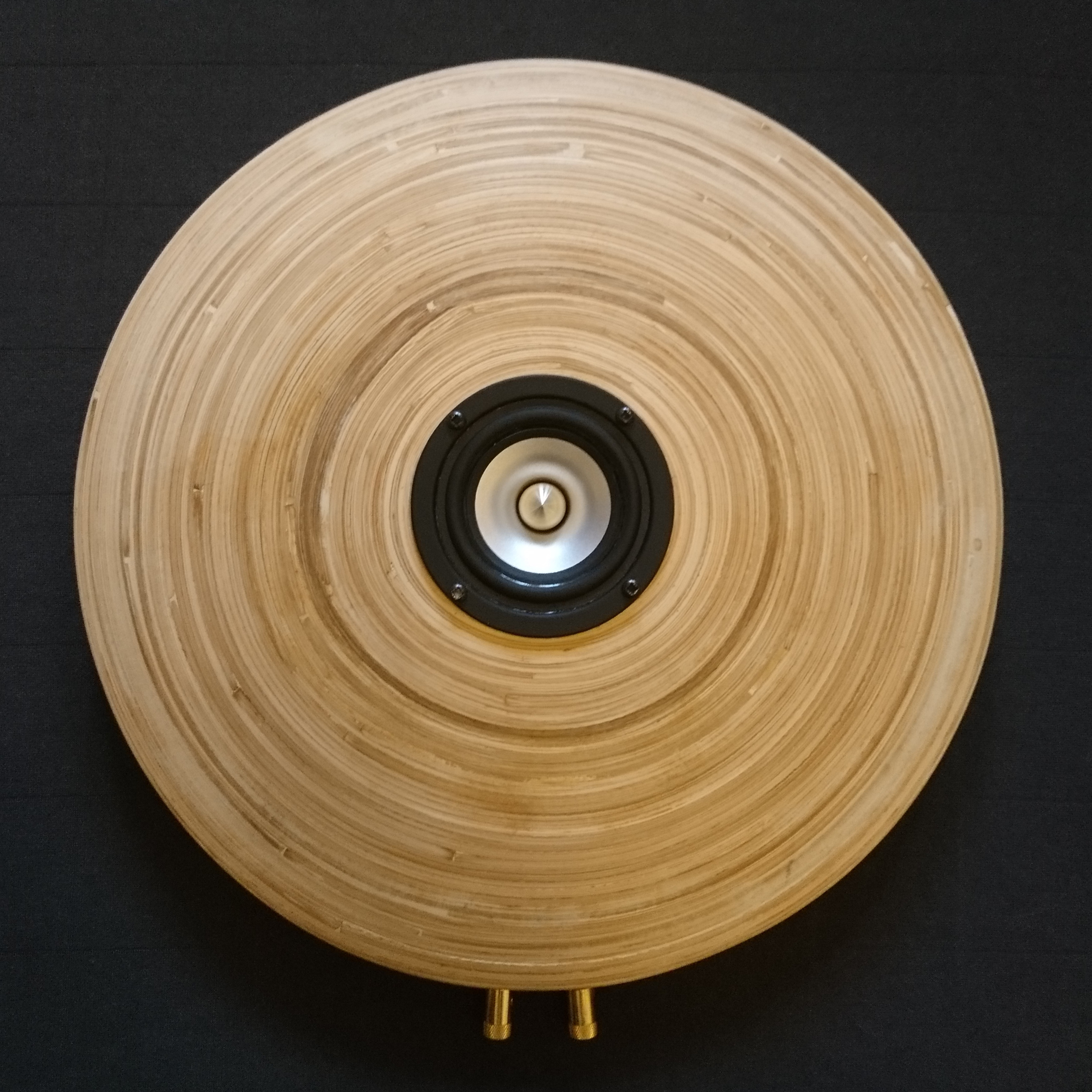 Frontansicht Bamboo II